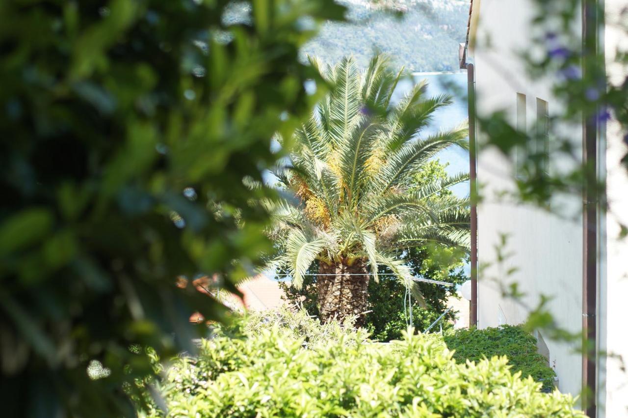Apartamento Oasis Blue Korčula Exterior foto